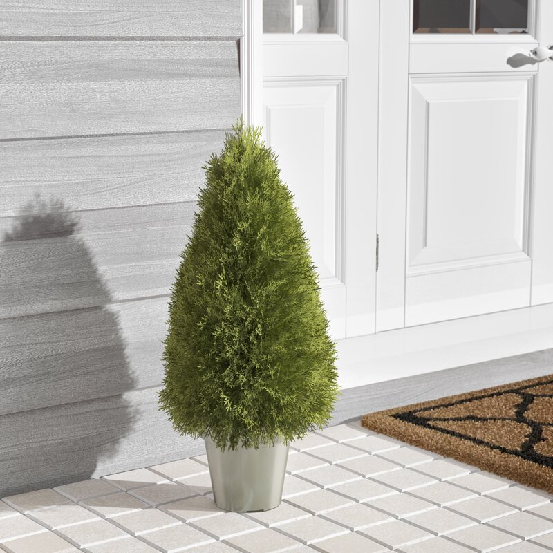 Darby Home Co Topiaire  evergreen artificielle en pot  